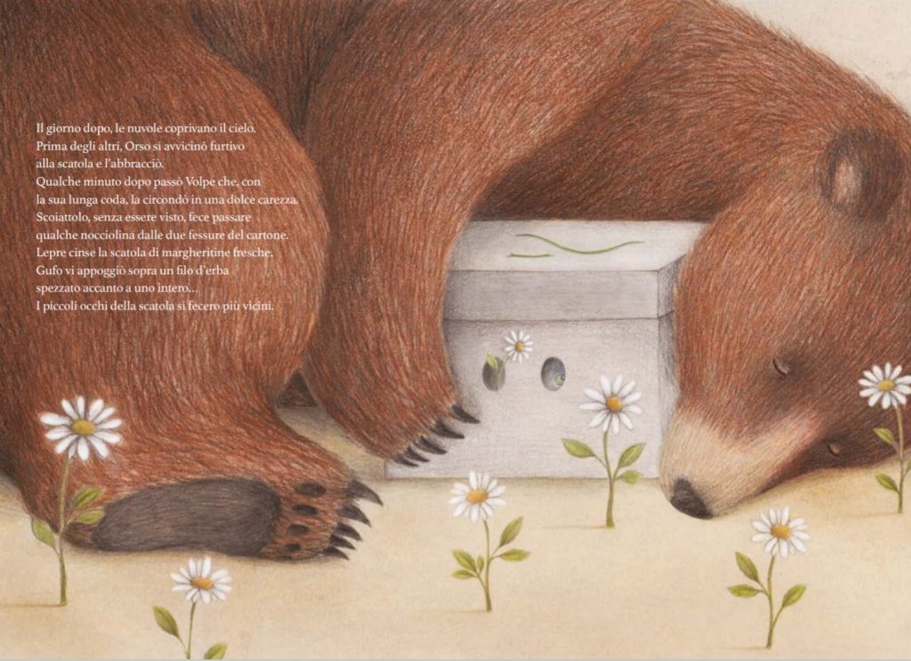 La scatola di Isabella Paglia e Paolo Proietti- Teste fiorite-libro per  bambini